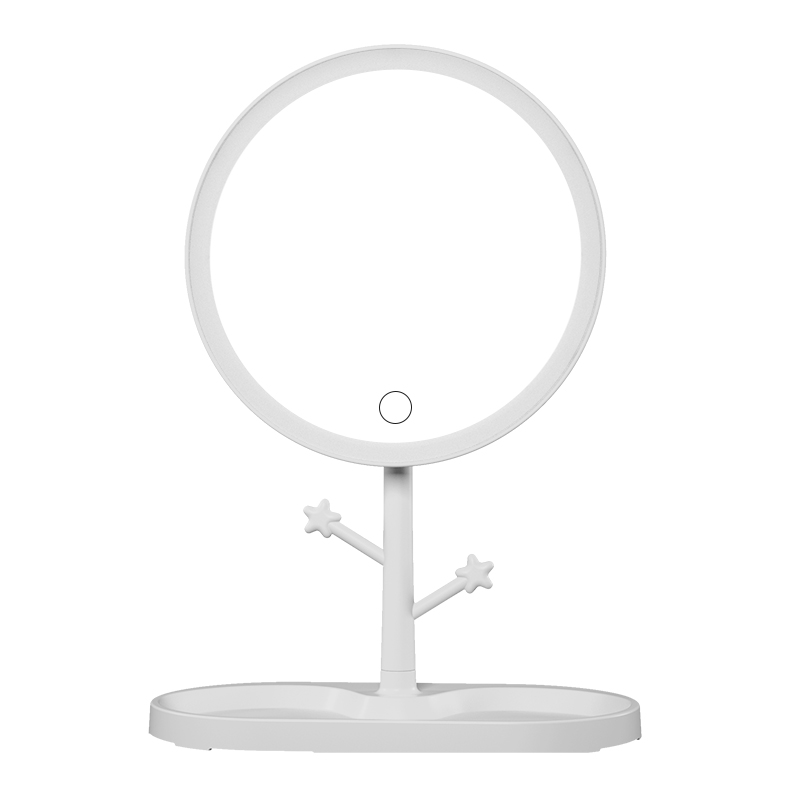 LED makeup mirror with light